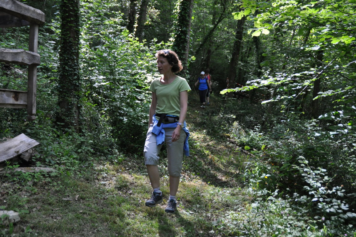 DSC_0140.JPG