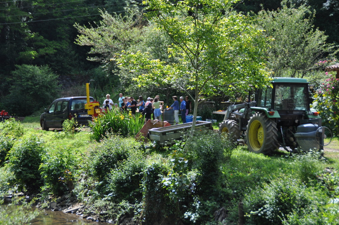 DSC_0159.JPG