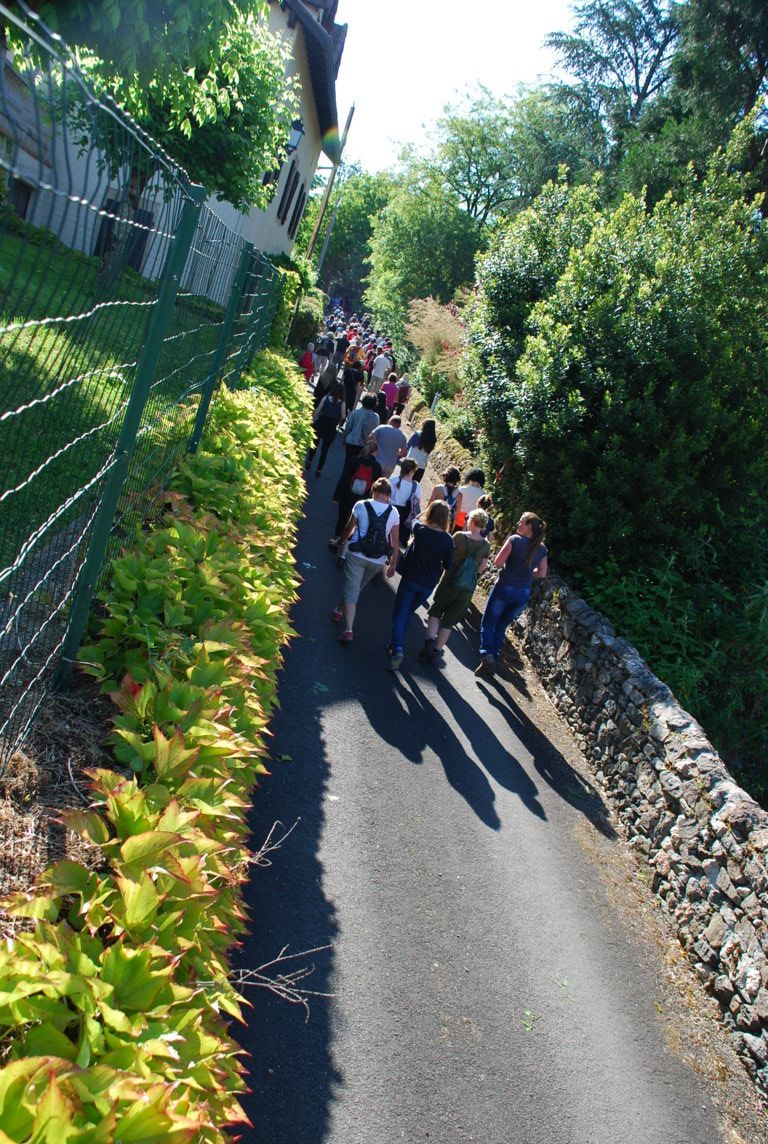 DSC_0795.JPG