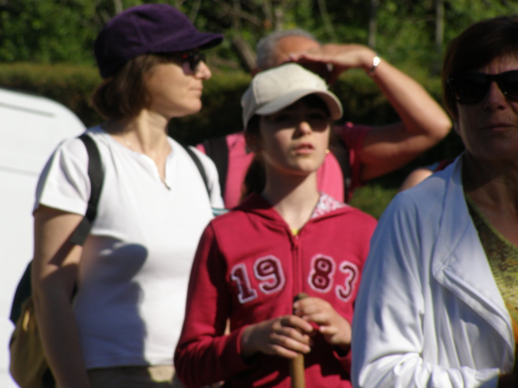 P5310426.JPG