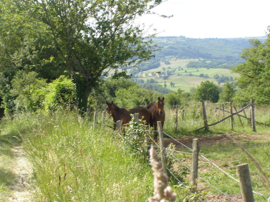 P5310489.JPG