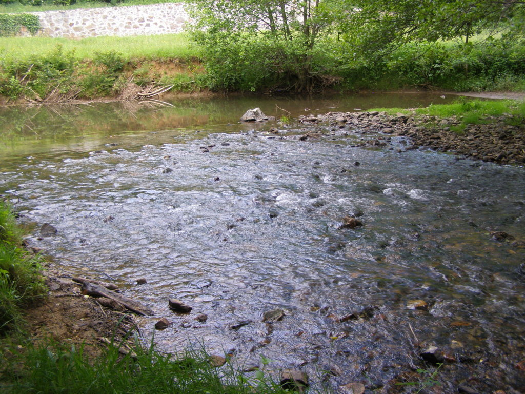 P5310527.JPG