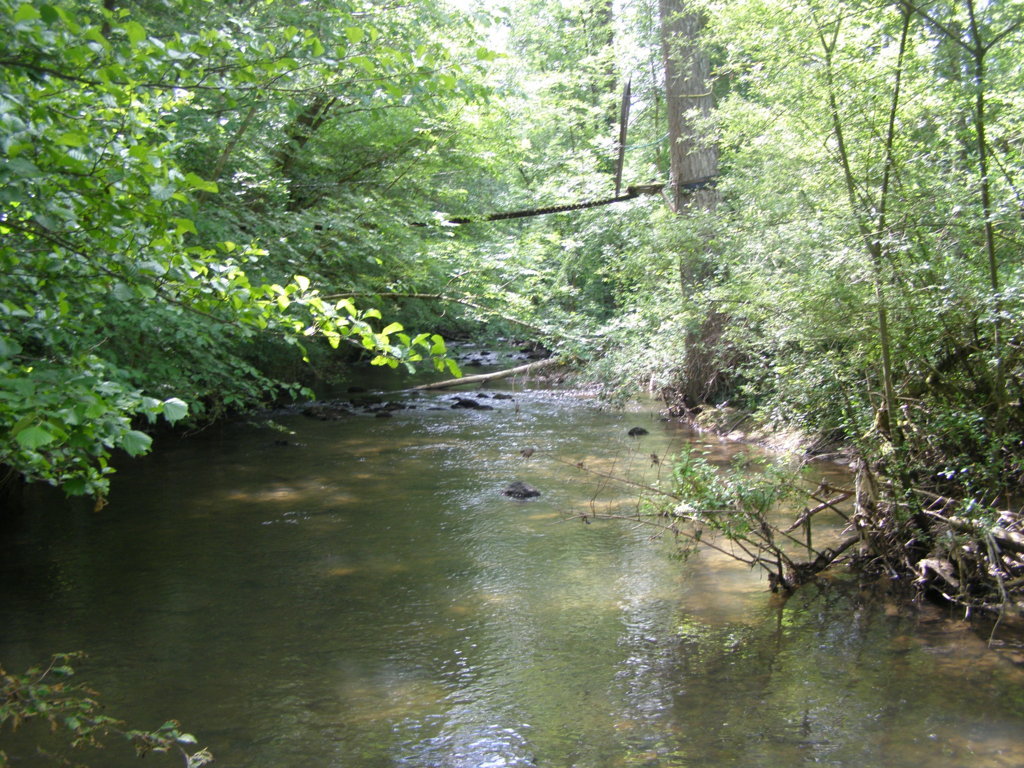 P5310539.JPG