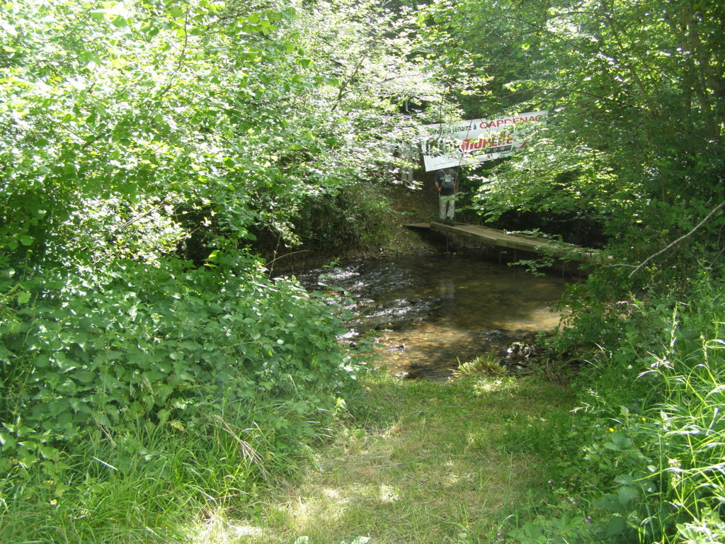 P5310540.JPG