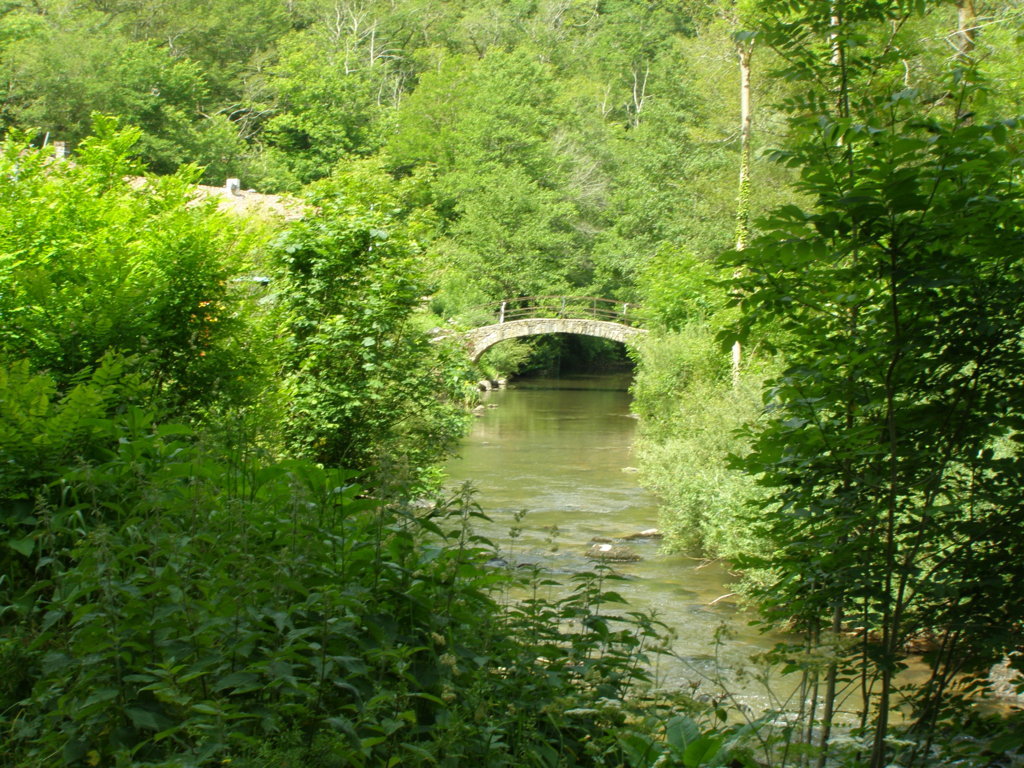 P5310541.JPG