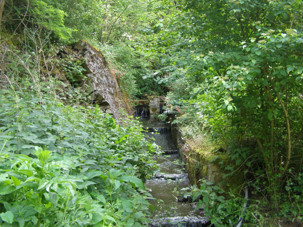 P5310542.JPG