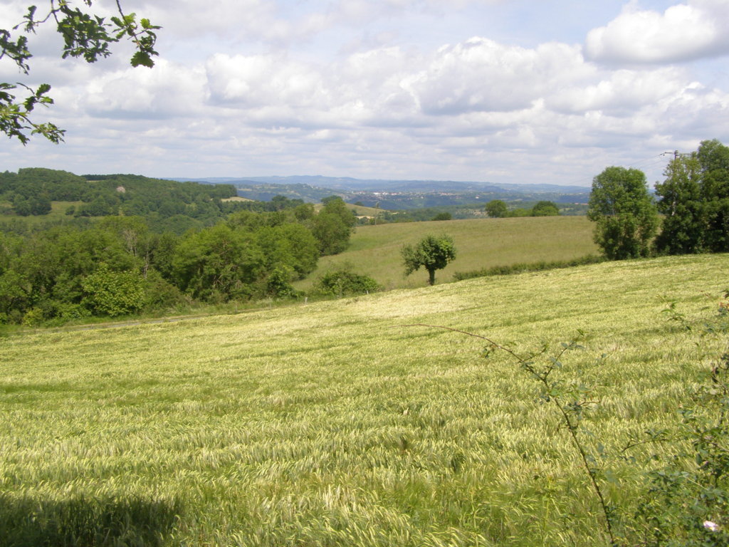 P5310564.JPG
