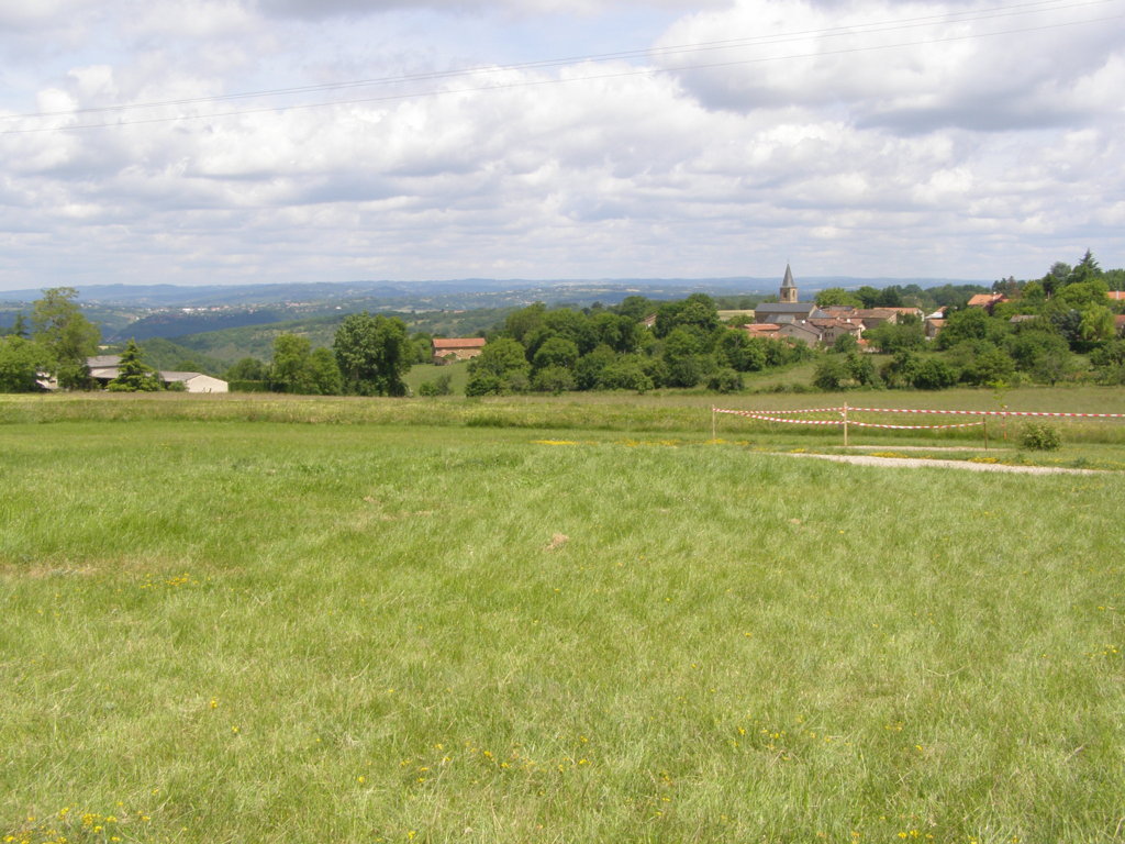 P5310565.JPG