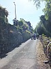 DSCF2342.JPG DSCF2342.JPG
