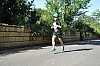 DSC_0039.JPG DSC_0039.JPG