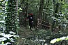 DSC_0137.JPG DSC_0137.JPG