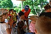 DSC_0859.JPG DSC_0859.JPG