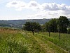 P5310444.JPG P5310444.JPG