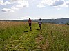 P5310462.JPG P5310462.JPG