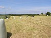 P5310467.JPG P5310467.JPG