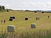 P5310481.JPG P5310481.JPG