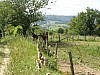 P5310488.JPG P5310488.JPG