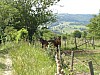 P5310489.JPG P5310489.JPG