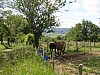 P5310492.JPG P5310492.JPG