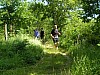 P5310508.JPG P5310508.JPG