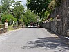 P5310570.JPG P5310570.JPG